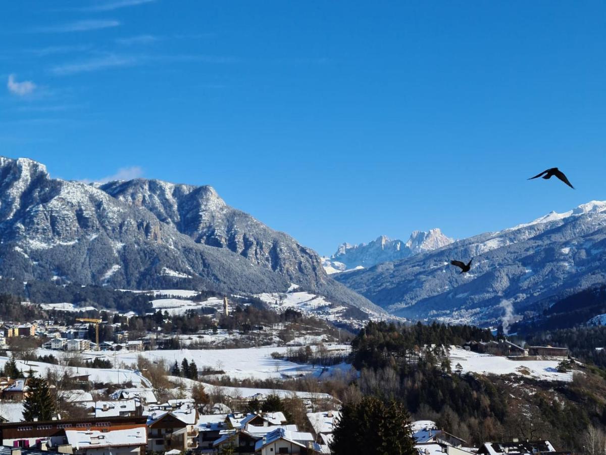 Appartamento Terrazza Sulle Dolomiti Castello-Molina di Fiemme Esterno foto